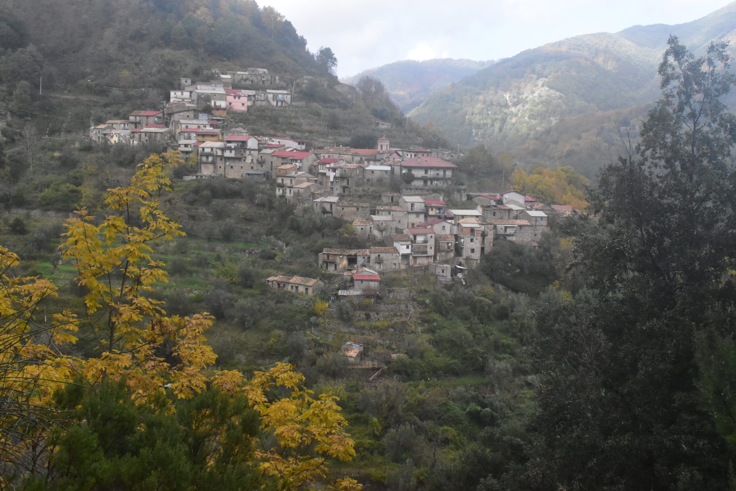 Nelle Indie di quaggiù. Ragonà e la linea d’ombra