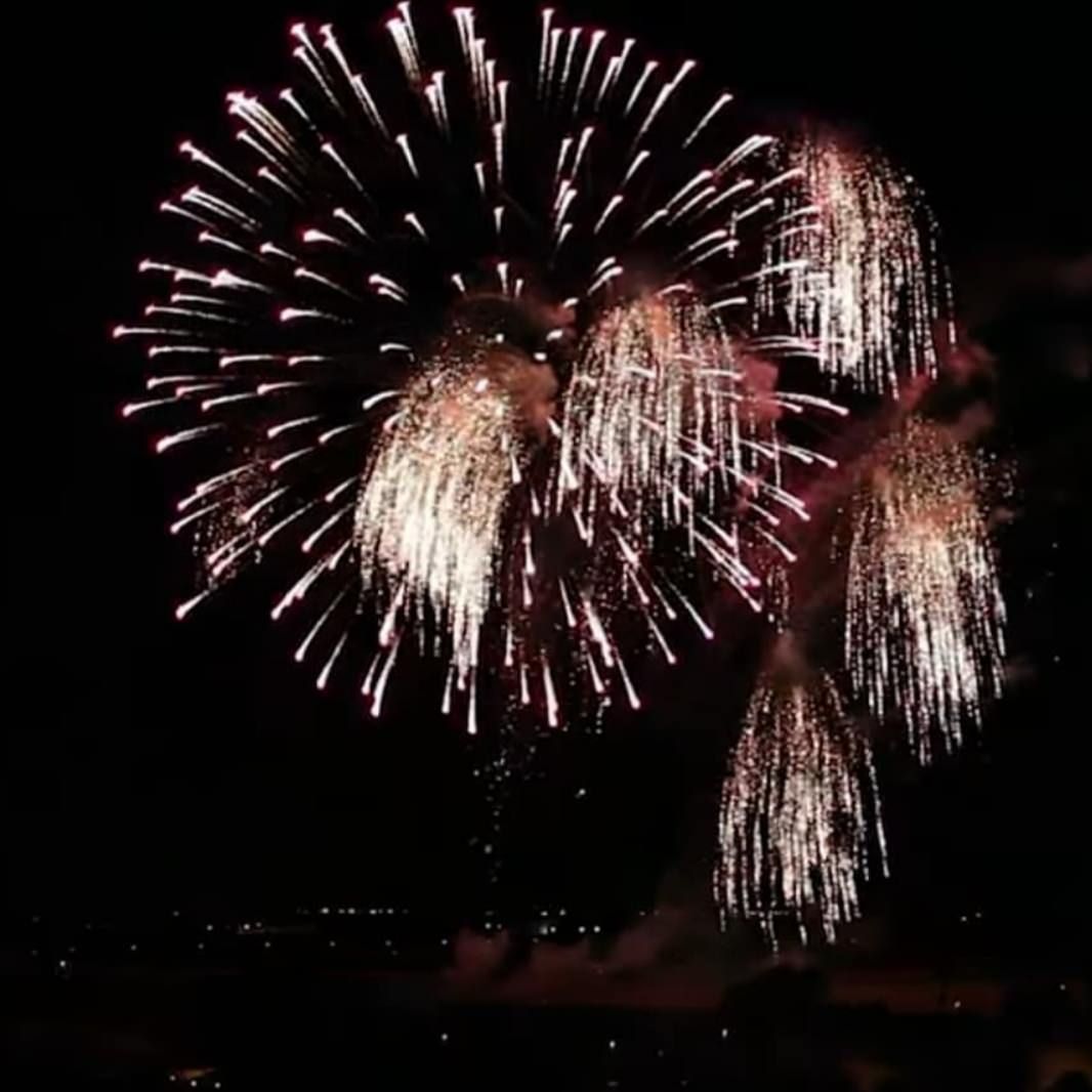 Fase 2, Di Ciello: «Aziende pirotecniche al collasso. Fateci lavorare»