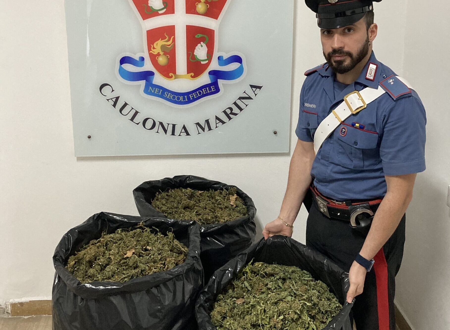 Nascondevano 23 chili di marijuana in grandi sacchi di plastica, 4 arresti nel Reggino