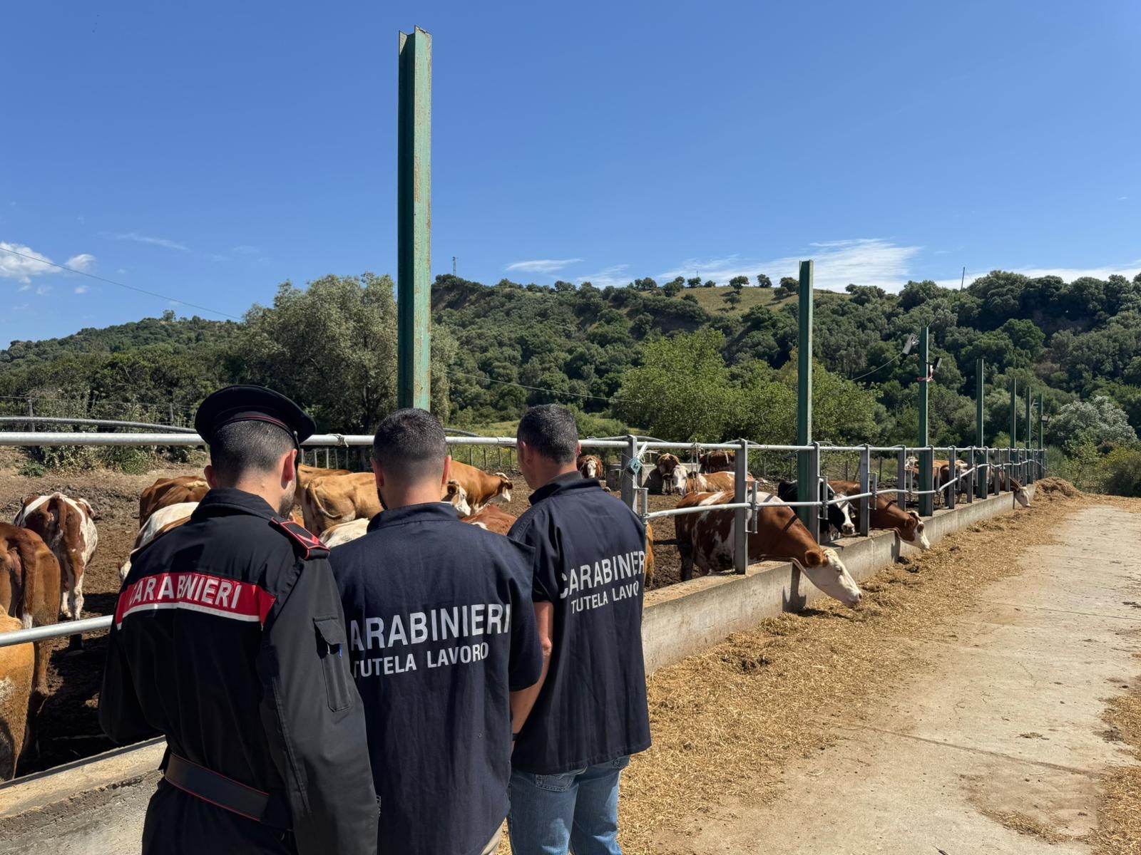 Operai in nero vivevano in un capannone, sanzionata un’azienda agricola nel Catanzarese