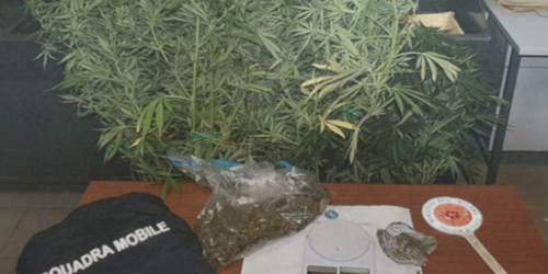 arresti droga crotone