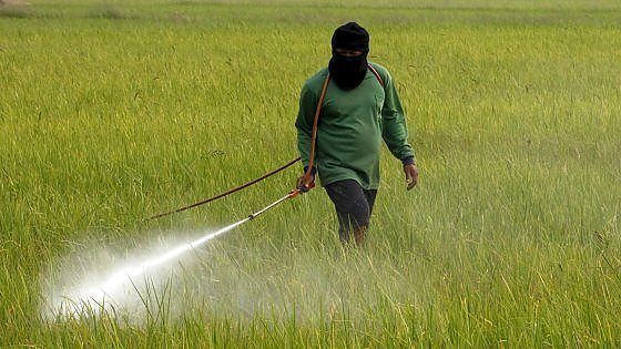 «Sui pesticidi in agricoltura seguire l'esempio della Calabria»
