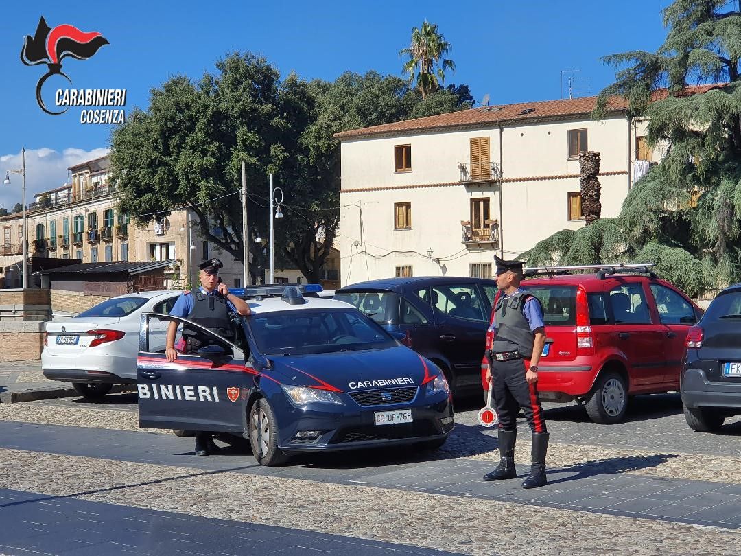 Spaccio, maltrattamenti e guida in stato di ebbrezza, arresti e denunce nel Cosentino