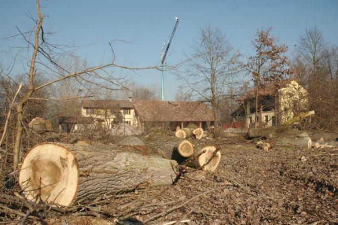 Tagli abusivi, svolta nell'inchiesta