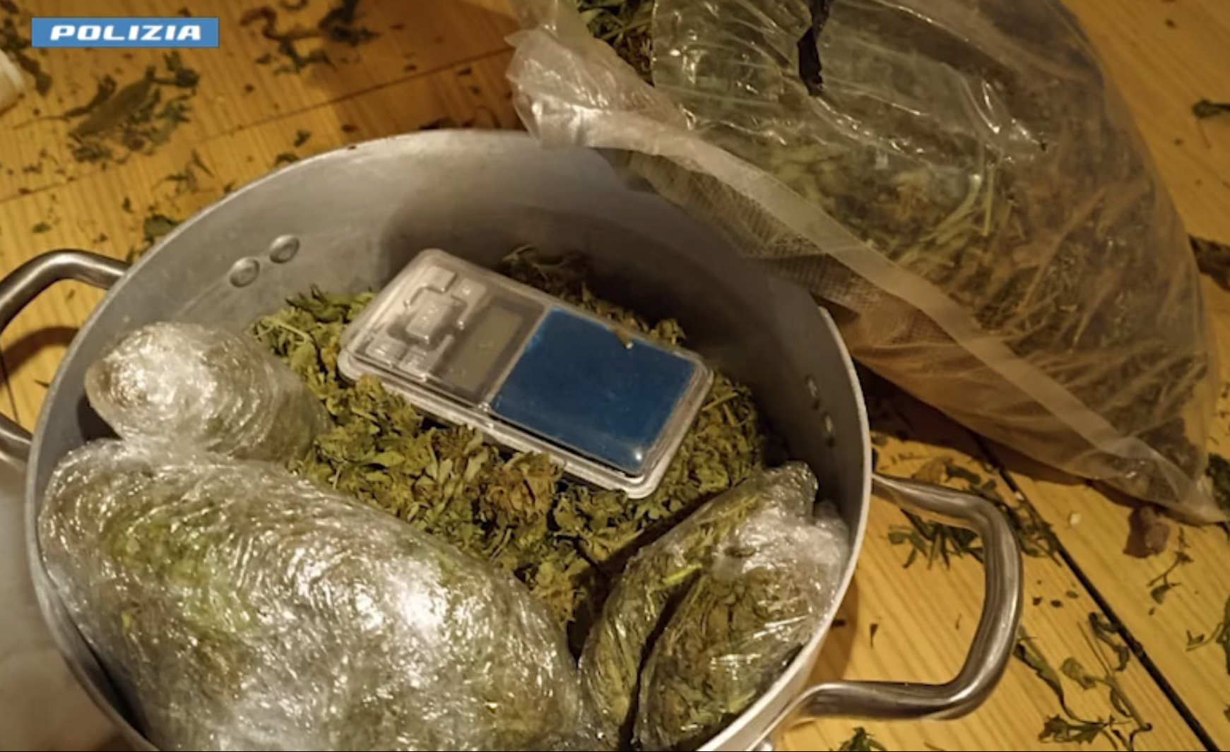 Produzione di droga e detenzione di armi, due arresti nel Vibonese – VIDEO