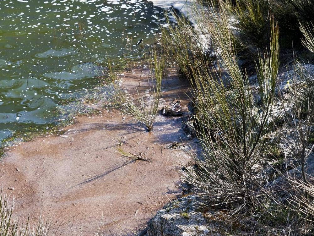 Acqua sporca, 16 richieste di rinvio a giudizio. I nomi