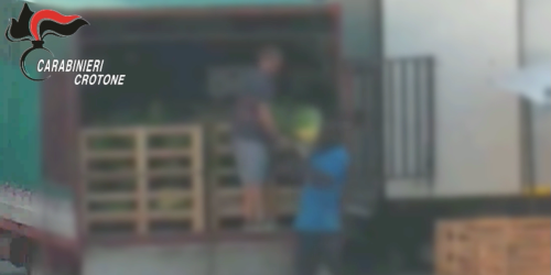 sfruttamento lavoratori crotone