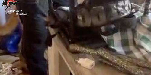 Droga e munizioni nascoste in casa, in manette un uomo a San Ferdinando