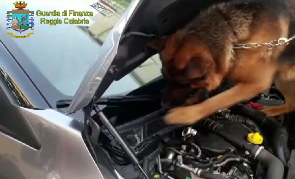 Venne fermato con 4 chili di droga nel bagagliaio, patteggia una pena di 4 anni