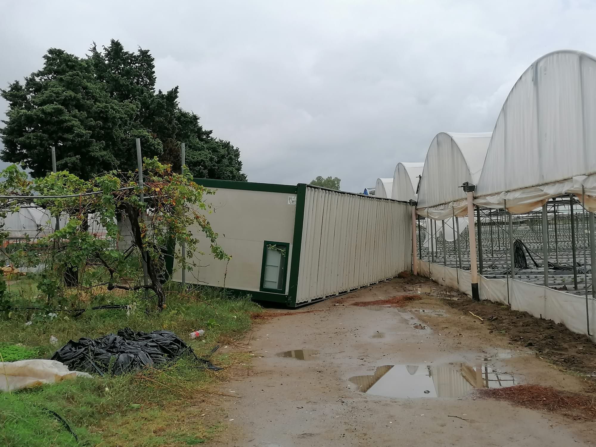 Tromba d'aria nel Catanzarese, serre distrutte e container ribaltati – FOTO