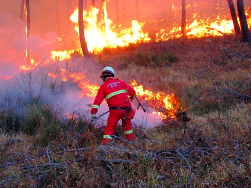 Fiamme nel Vibonese, distrutti 20 ettari di macchia mediterranea
