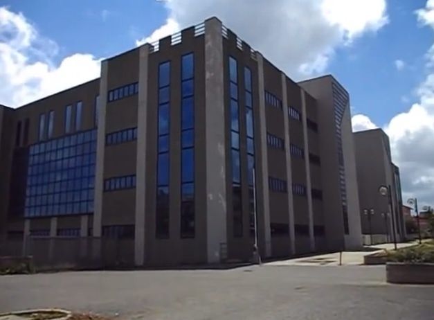 Topi nel tribunale Vibo, ripresa l'attività del Giudice di pace