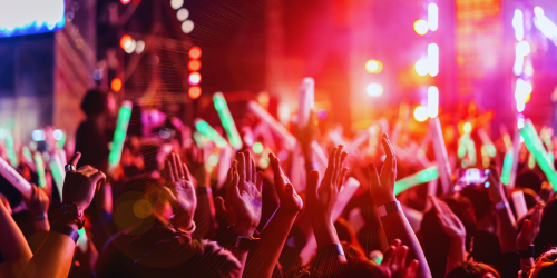 movida locride falso certificato