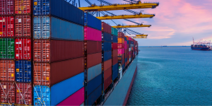 Materiale bellico da Gioia Tauro a Israele, la Guardia di Finanza individua 8 container sospetti