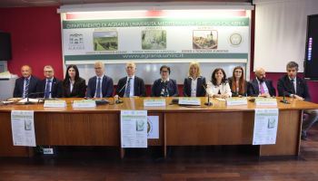 Tutela dell’innovazione, alla Mediterranea di Reggio il focus su marchi e brevetti in Calabria