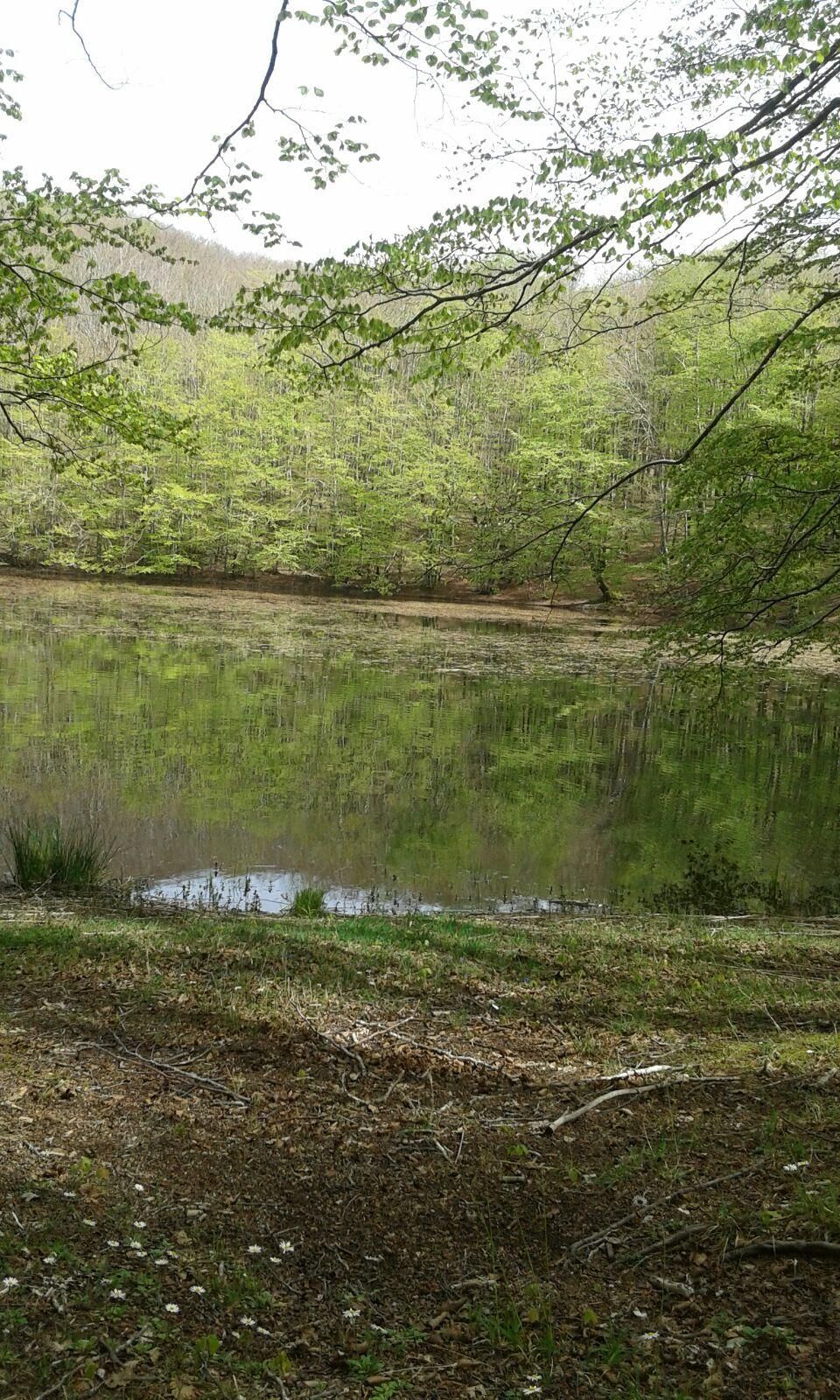 Un'associazione per la "Castagna di Calabria"