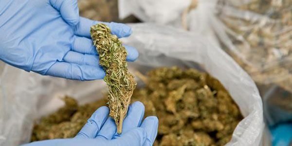 Narcotraffico: ricercati in tutta Europa, arrestati nel Reggino