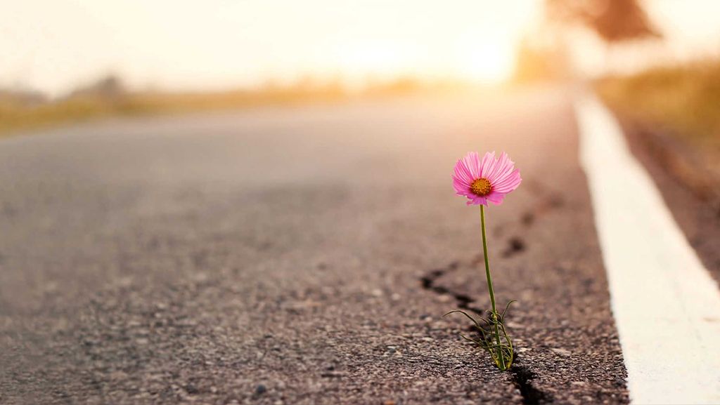 Dal Pnrr per la sanità al turismo, la Calabria che semina per la propria rinascita