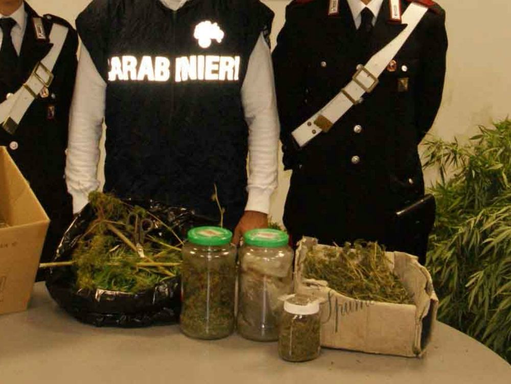 Coltivava marijuana in giardino, arrestato