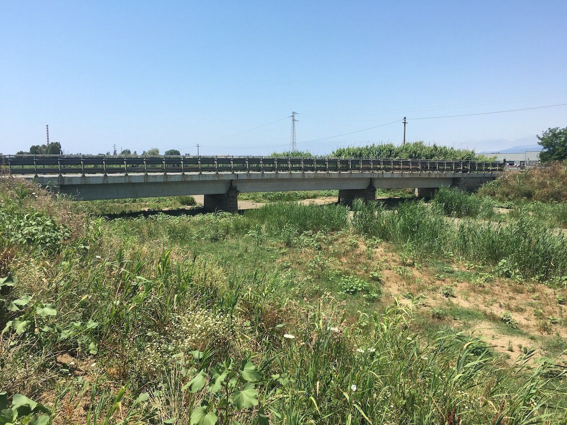 Lamezia, la “giungla” dell'area industriale e la paura di nuove esondazioni