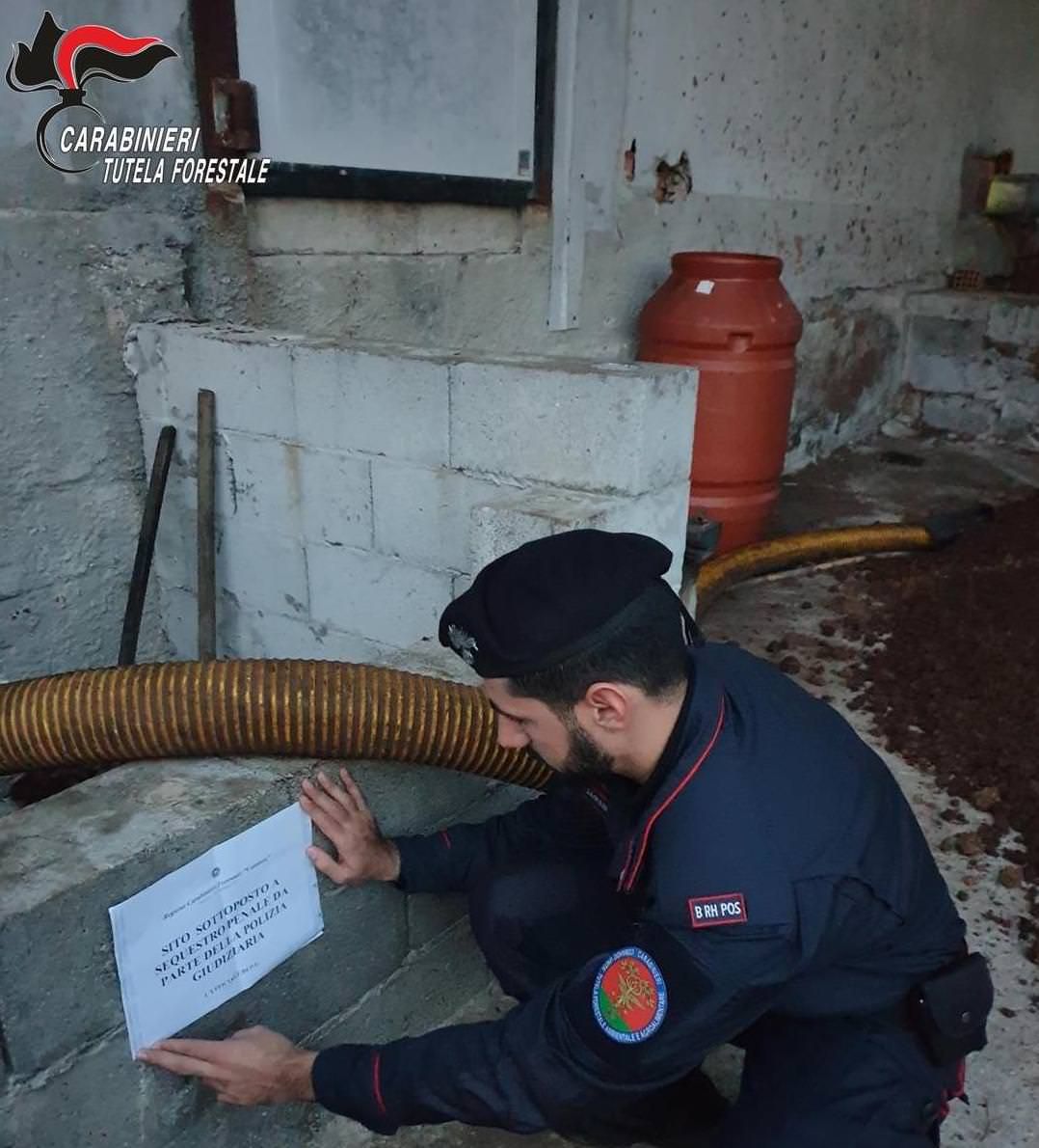 Reflui nel fiume, sequestrato un frantoio nel Vibonese