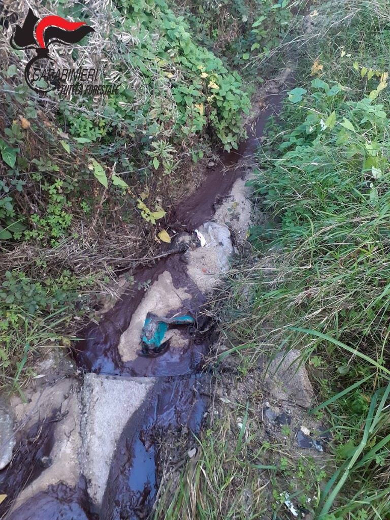 Corigliano Rossano, sequestrato un terreno utilizzato per smaltimento di reflui oleari