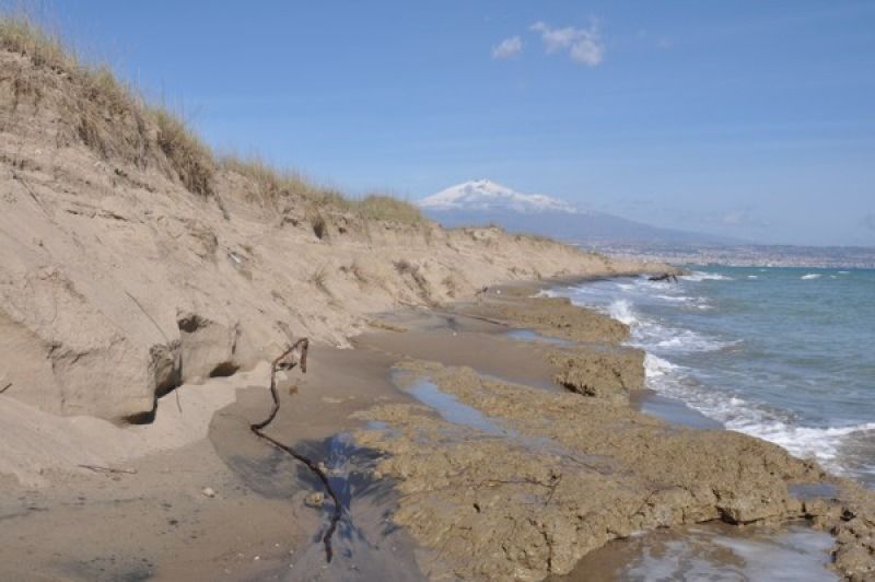 Codacons: «La Regione salvi le spiagge dall'erosione»