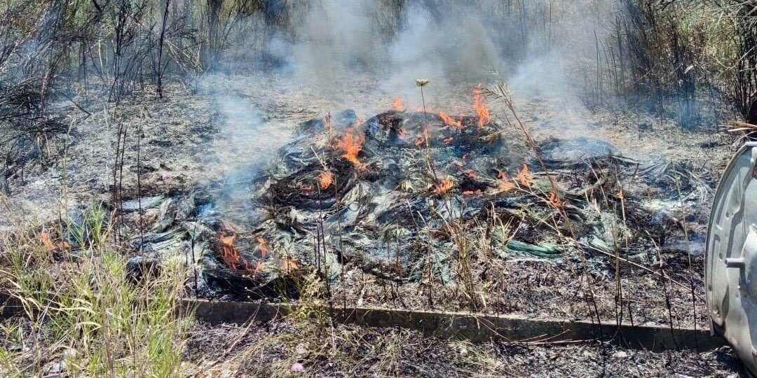 Incendi, quasi il 70% delle aree forestali colpite si trova in Calabria