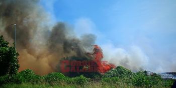 Incendio in un vivaio a Lamezia Terme, paura sulla SS18 – VIDEO e FOTO