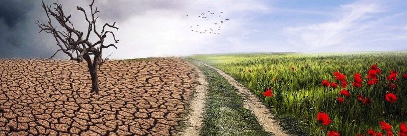 Cambiamento climatico, Confagricoltura: «Nuove norme sulla gestione del rischio»