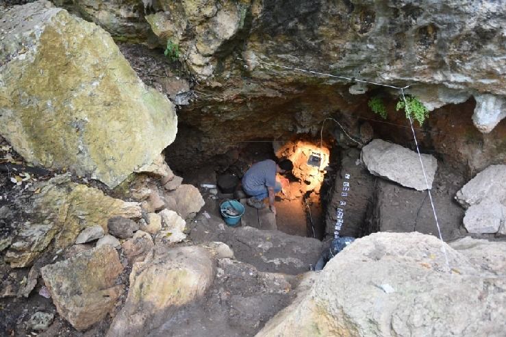 Resti umani e un nuovo stanziamento, la Grotta del Romito svela altri “tesori”