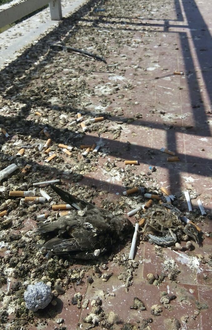 «Ecco il degrado all’ospedale di Lamezia»