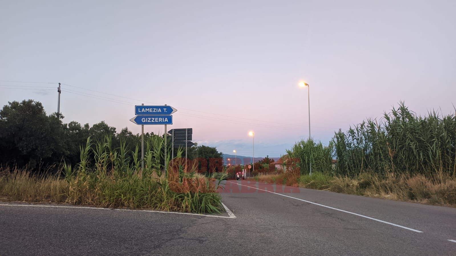 Gizzeria, blitz all’alba: scoperta vasta piantagione di marijuana