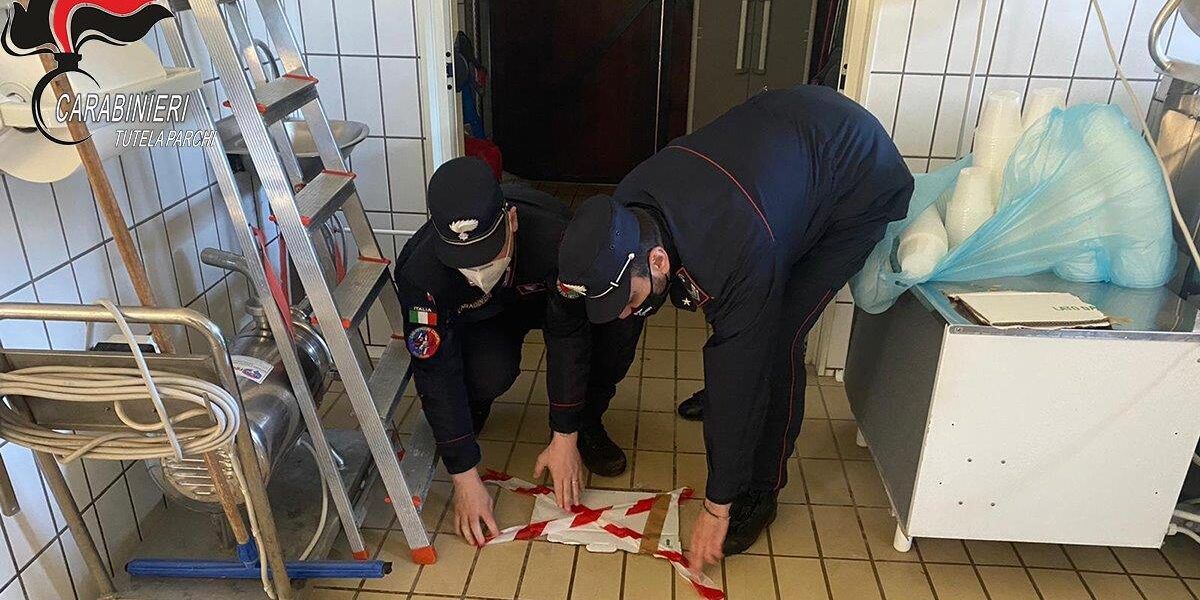 I liquami del caseificio nel canale: sequestro a Morano Calabro