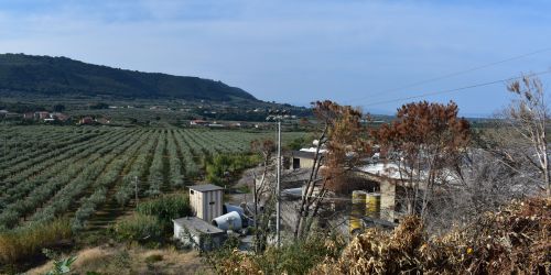 acconia curinga bio gas