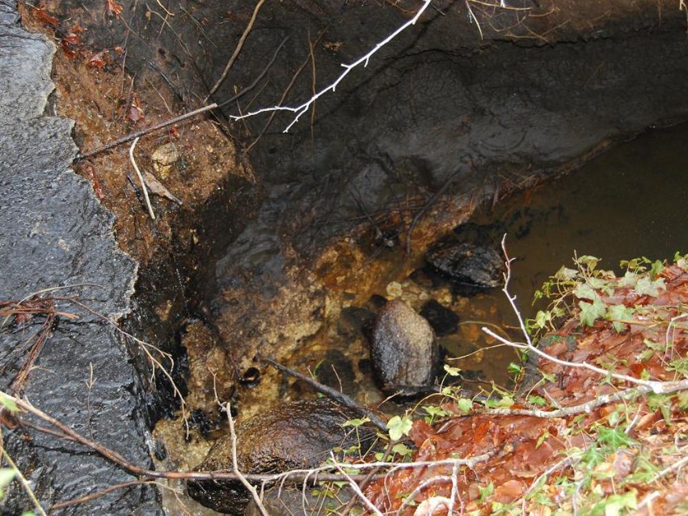 «Alaco, nel fiume i fanghi del compattatore»