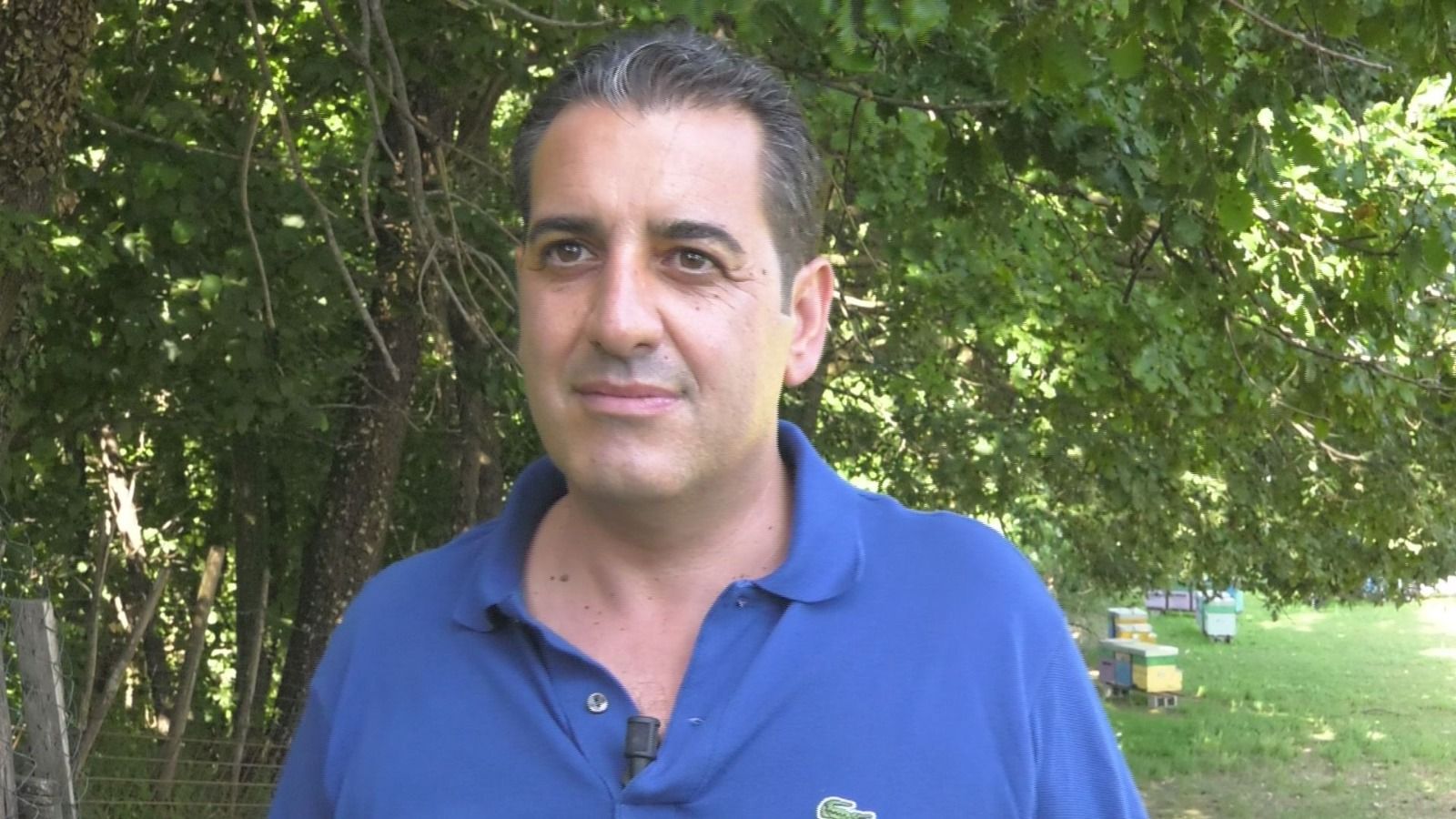 Tonda di Calabria, Rotiroti: «Ottima annata, timori per il clima»