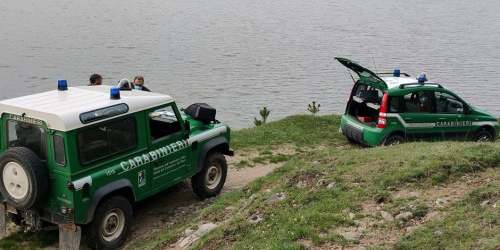 Carabinieri-Forestali