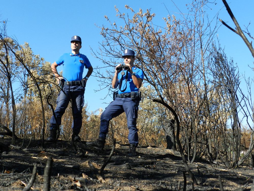 Mezzi aerei in azione per spegnere dieci incendi