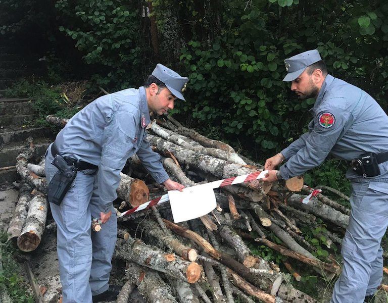 Furto di legna, un arresto a Saracena