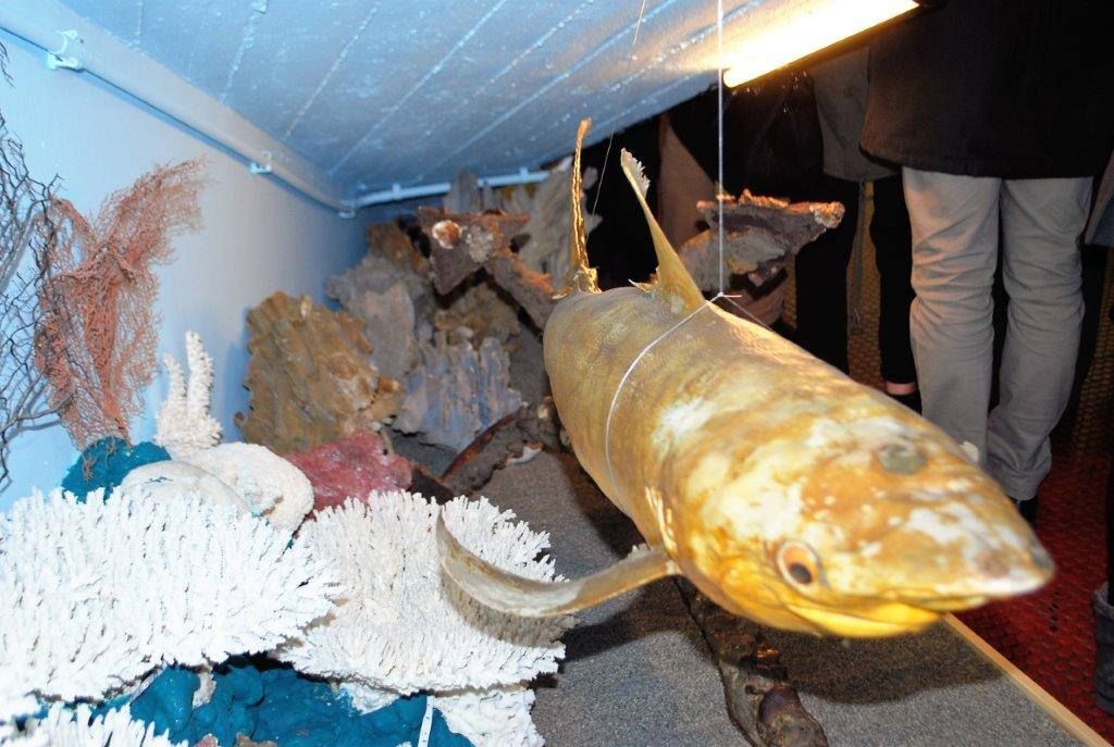 Il tesoro zoologico dell'Unical