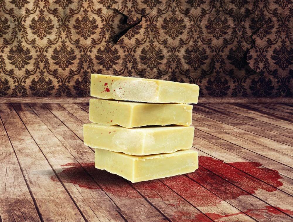 La storia del commissario Serrao che smascherò la Saponificatrice