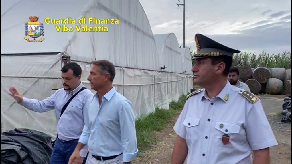 Colpo al narcotraffico nel Vibonese, sequestrati 6 quintali di marijuana e 5.200 piantine di canapa – VIDEO