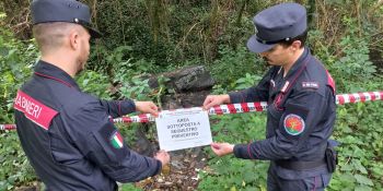Tagli abusivi e rifiuti illeciti: il Catanzarese nel mirino dei Carabinieri