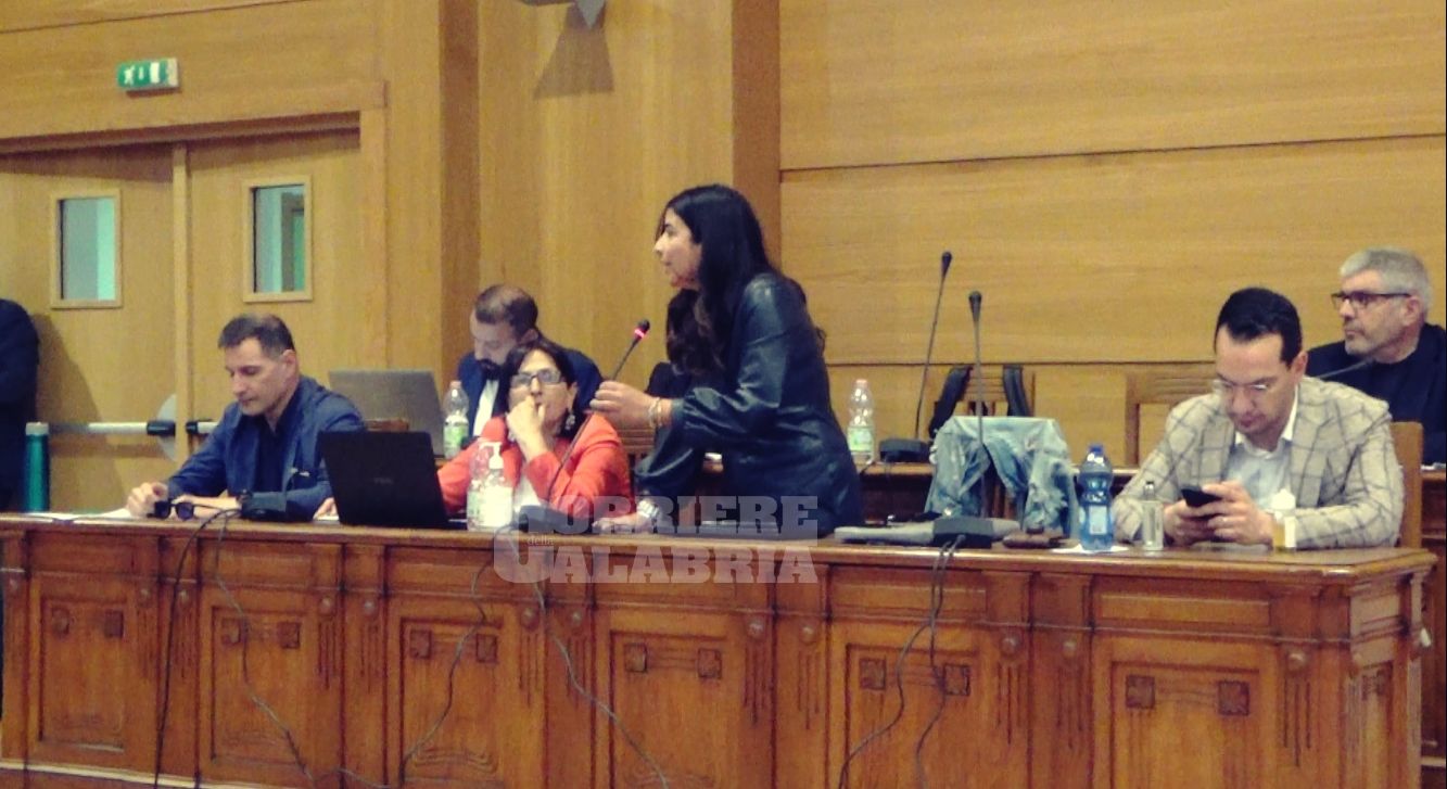 Lamezia e quei «vaffa…» abituali in consiglio comunale. E scoppia lo scontro tutto femminile – VIDEO