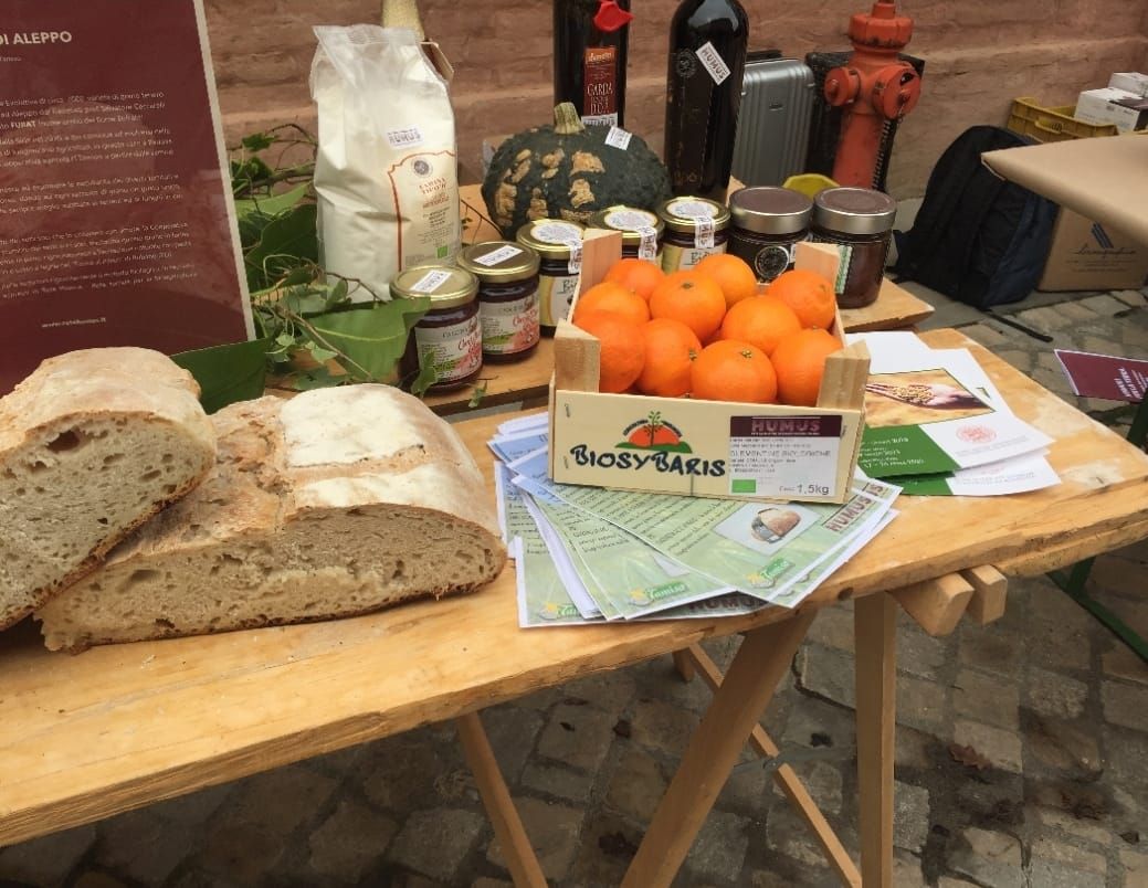 “Regenera”, tra suolo, biodiversità e cibo: Vibo ospita la rassegna agroecologica