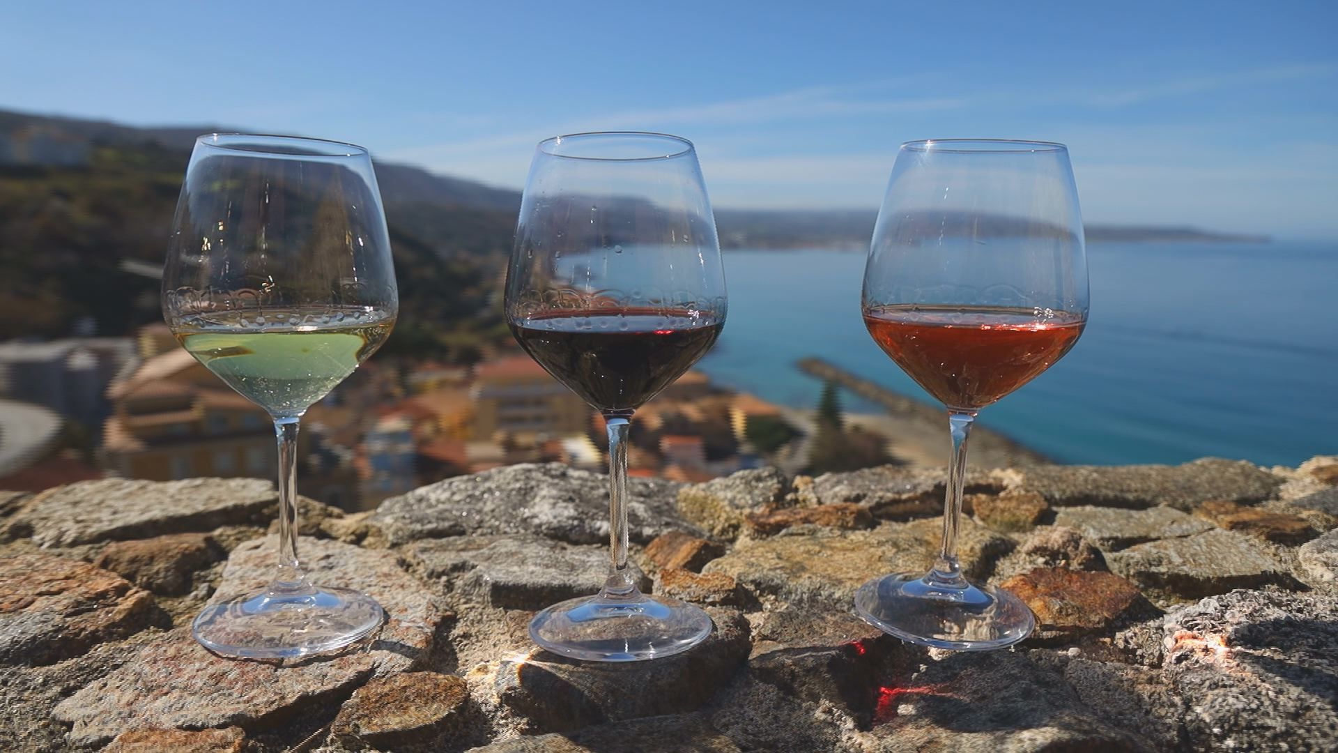 Lo Zibibbo, simbolo e protagonista della Costa degli Dei – VIDEO