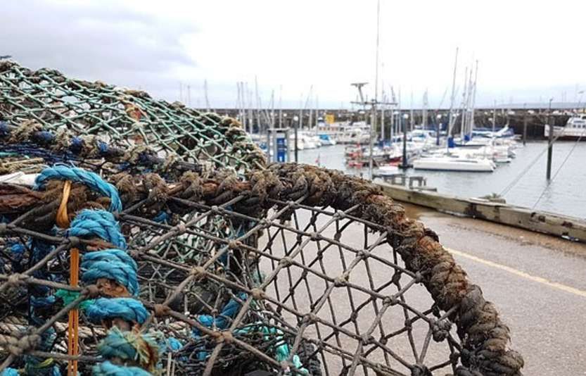 Pesca, pubblicati due bandi Feamp con una dotazione superiore ai tre milioni di euro
