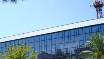 Un “Albero di Falcone” nella sede Rai di Cosenza