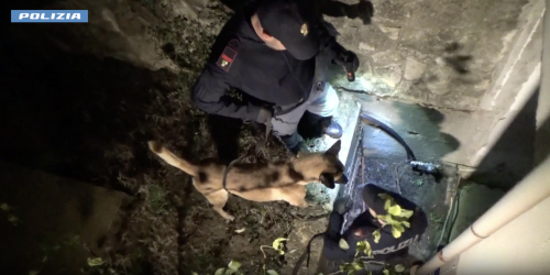 Traffico di droga e legami con i clan cosentini: 5 arresti